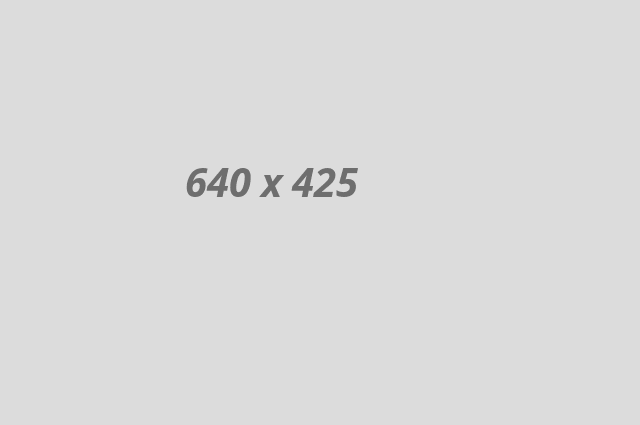 portfolio4
